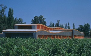 Bodega - Almaviva - Chili - Prise de vue extérieure