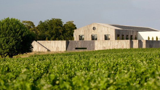 Château d'Armailhac - Cru Classé - Pauillac