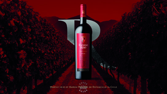 Escudo Rojo Chilean wine vin chilien chili
