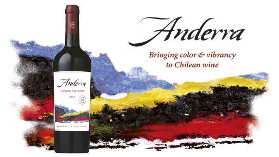 Anderra wine Anderra Chile