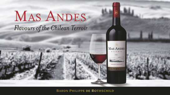 Mas Andes wine Chile