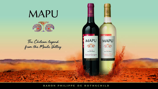 Mapu Chilean wine vin chilien chili