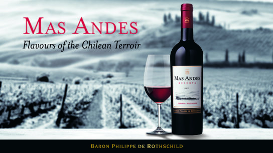 Mas Andes Chilean wine vin chilien chili