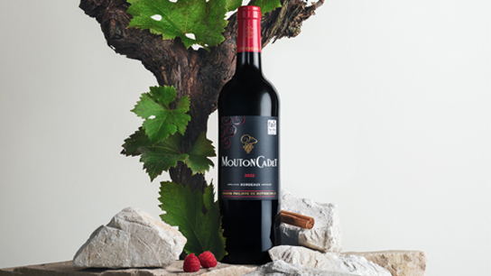Mouton Cadet vin rouge Bordeaux