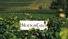 Bordeaux Mouton Cadet